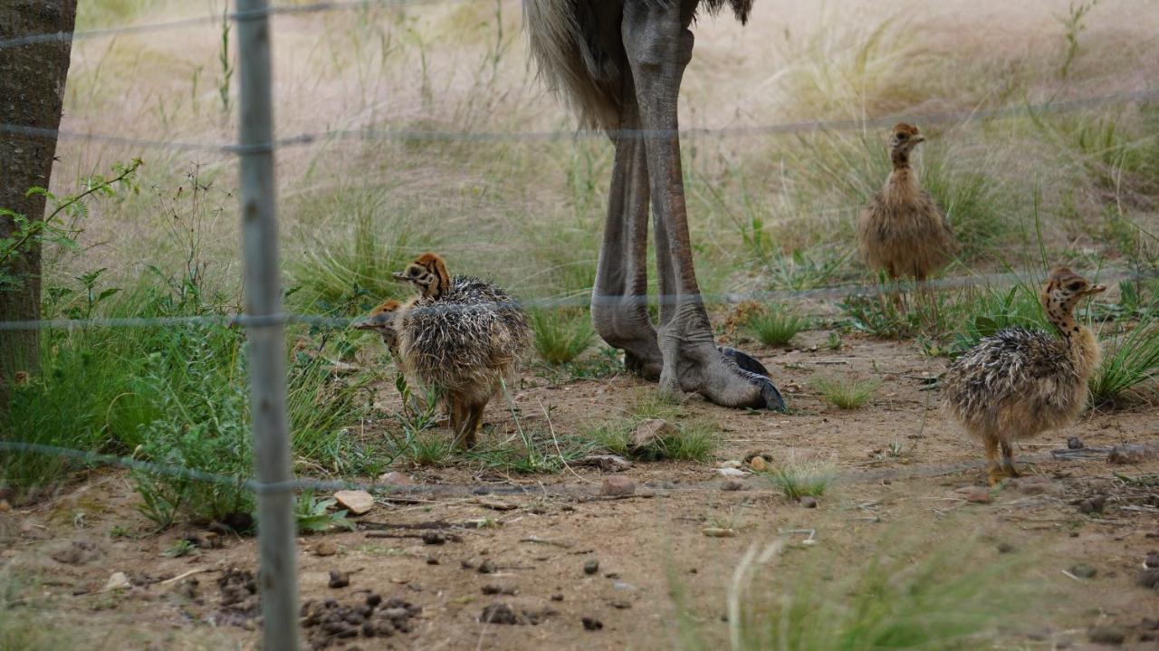 スウェレンダム Kwetu Guest Farmヴィラ エクステリア 写真