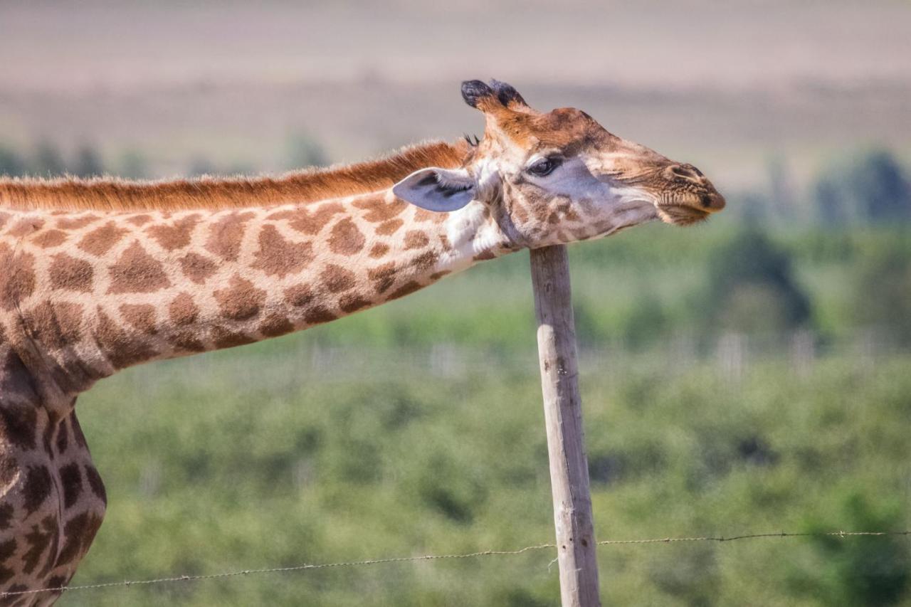 スウェレンダム Kwetu Guest Farmヴィラ エクステリア 写真